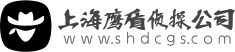 侦探公司